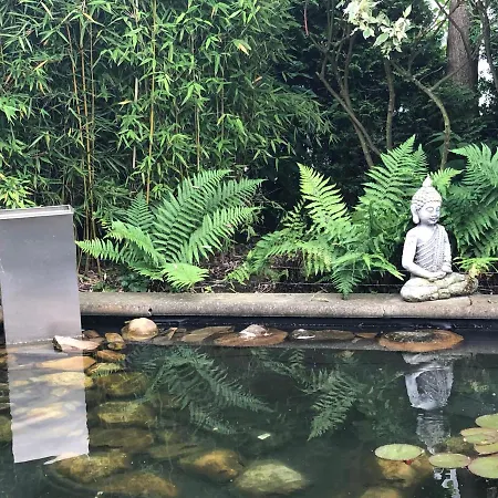 Ladigo „kleines Glueck“ Goslar