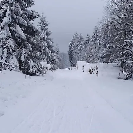 Romantische Harz-auszeit Fuer Zwei- Kleines Glueck Nahe *