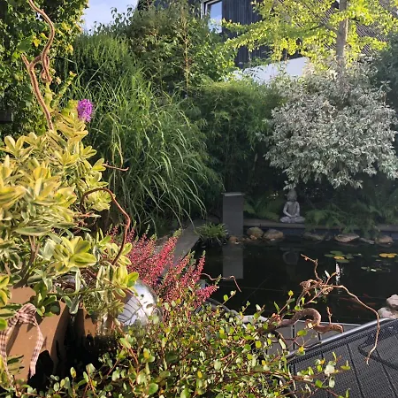 Ladigo „kleines Glueck“ Goslar