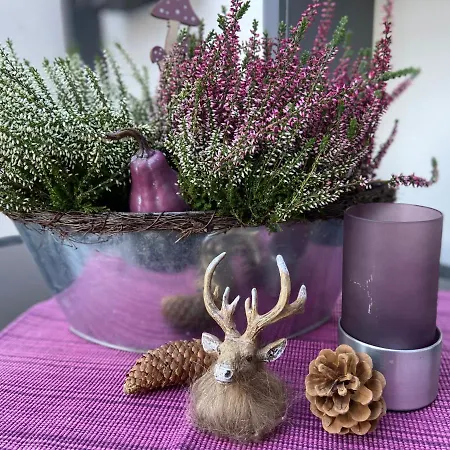 Appartement Ladigo „kleines Glueck“ *