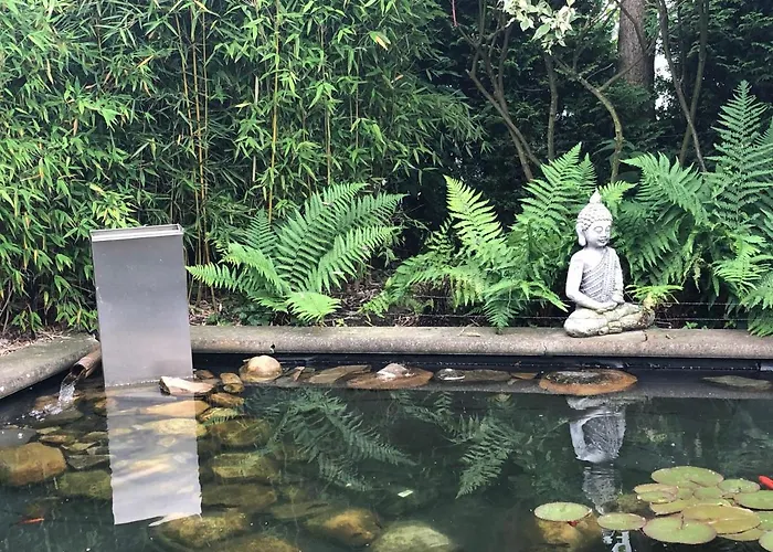 Ladigo „kleines Glueck“ Goslar