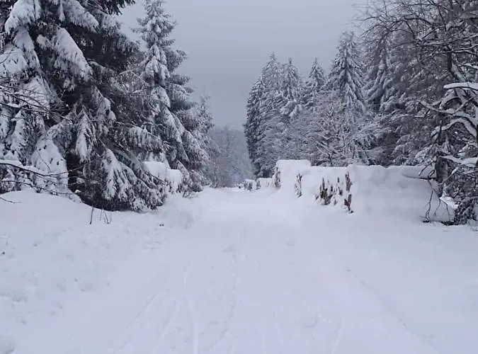 Ladigo „kleines Glück“ *