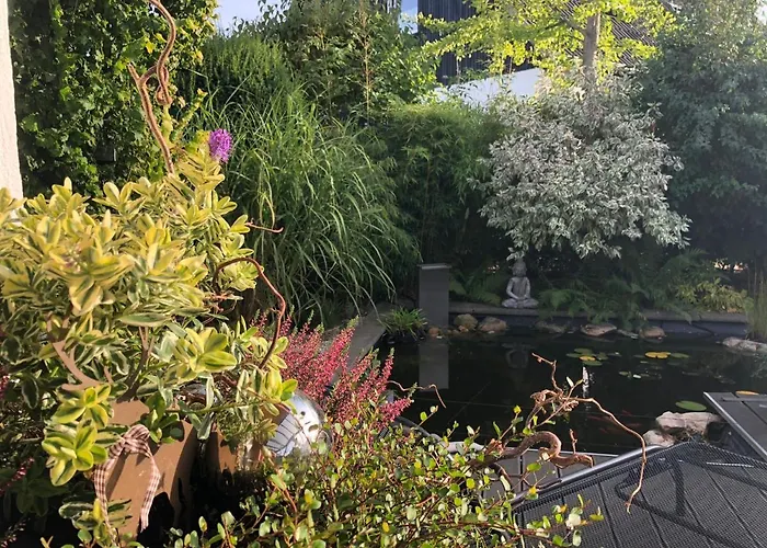 Ladigo „kleines Glueck“ Goslar